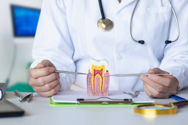  Alexandria, LA Emergency Dentist Pros